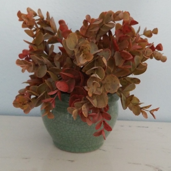 Other - Faux succulents